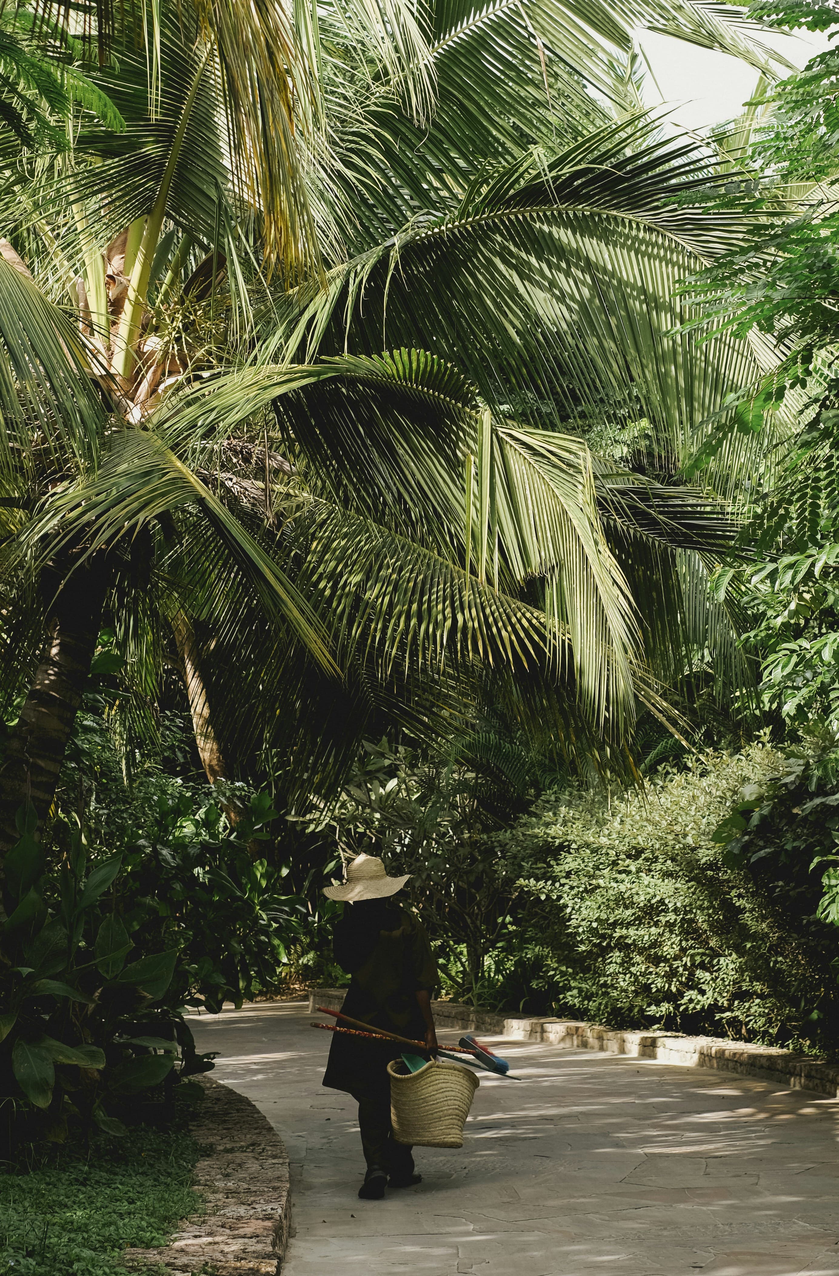 Bali. The World's #1 Destination.