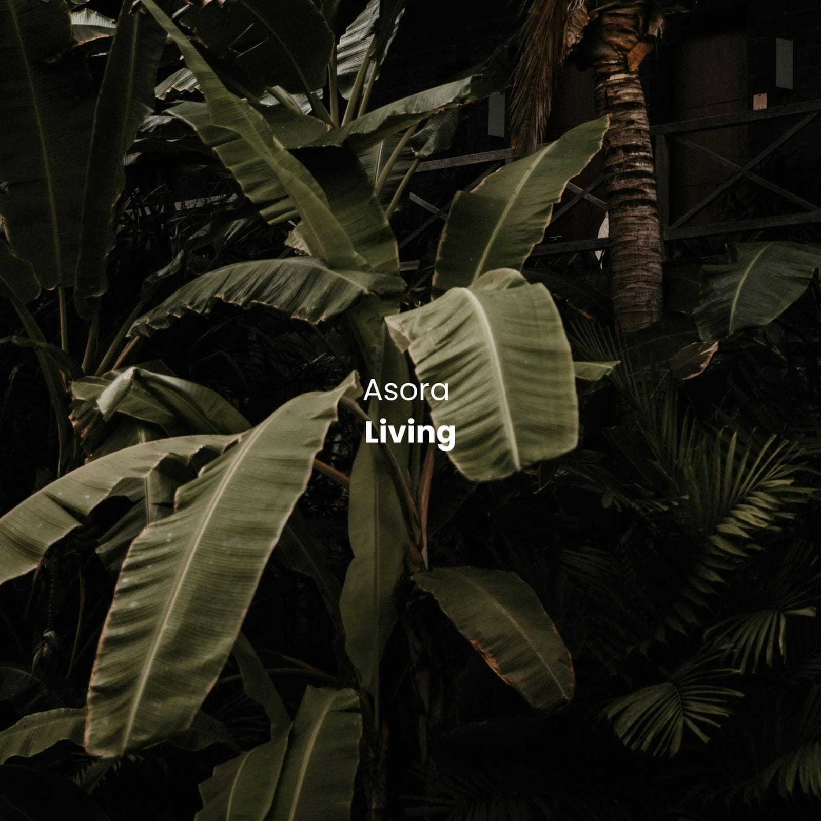 Asora Living: Where Lifestyle Meets High-Performance Investment